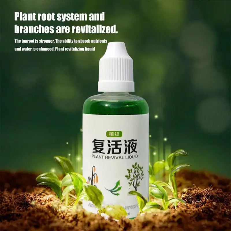 Succulent Rooting Agent 50ml Root Nutrient Fertilizer Quick Strong Balanced Natural Growth Solution For Garden Farm Lawn thumbnail 4