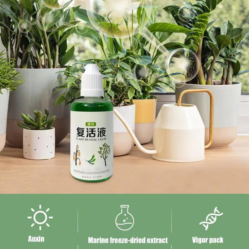 Succulent Rooting Agent 50ml Root Nutrient Fertilizer Quick Strong Balanced Natural Growth Solution For Garden Farm Lawn thumbnail 2