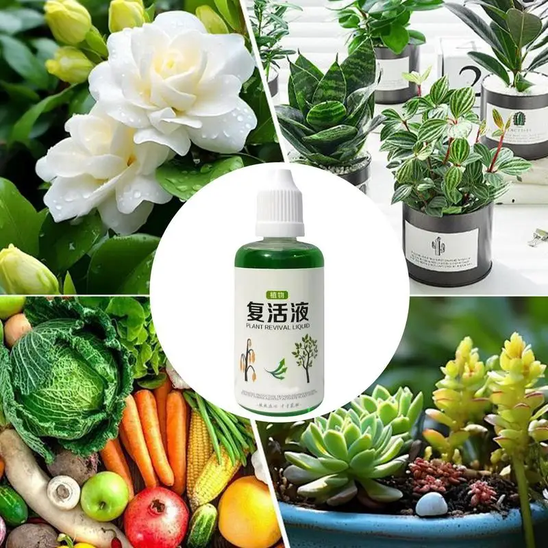 Succulent Rooting Agent 50ml Root Nutrient Fertilizer Quick Strong Balanced Natural Growth Solution For Garden Farm Lawn thumbnail 6