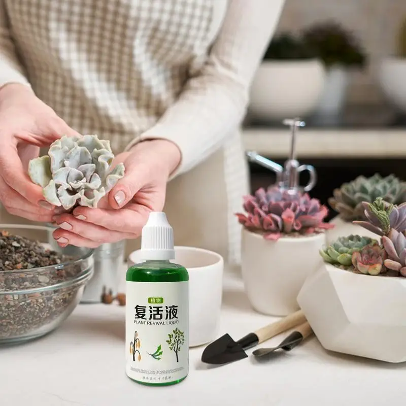 Succulent Rooting Agent 50ml Root Nutrient Fertilizer Quick Strong Balanced Natural Growth Solution For Garden Farm Lawn thumbnail 5