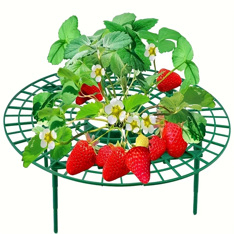 5/10pcs Green Strawberry Planting Rack with 3 Sturdy Stands Versatile Plant for Berries and Small Plants Plant Stand thumbnail 2