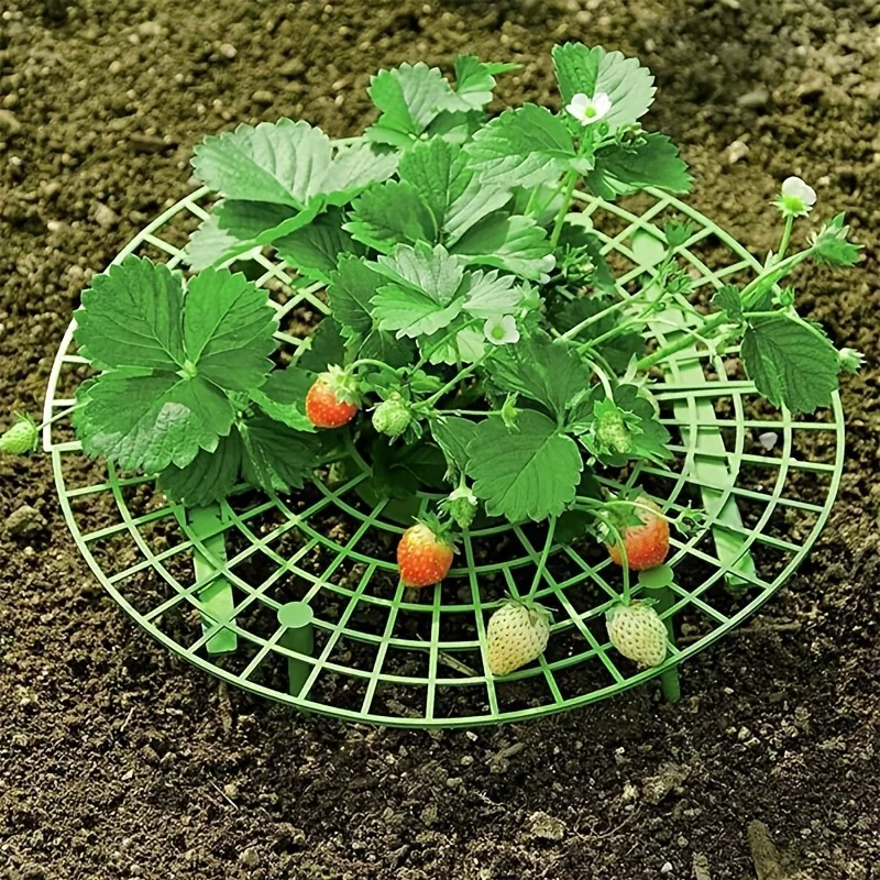 5/10pcs Green Strawberry Planting Rack with 3 Sturdy Stands Versatile Plant for Berries and Small Plants Plant Stand thumbnail 6