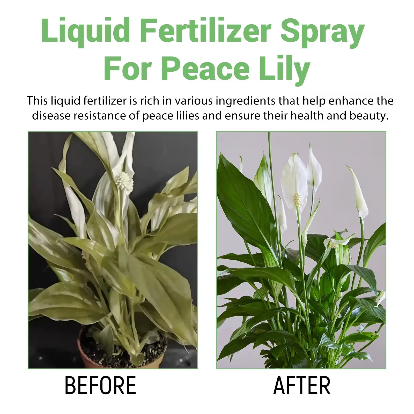 MoonSpry Flower Nutrient Solution Liquid Plant Fertilizer Rooting Booster Blossom Nutrition Hydroponics Food for Garden Plants thumbnail 2