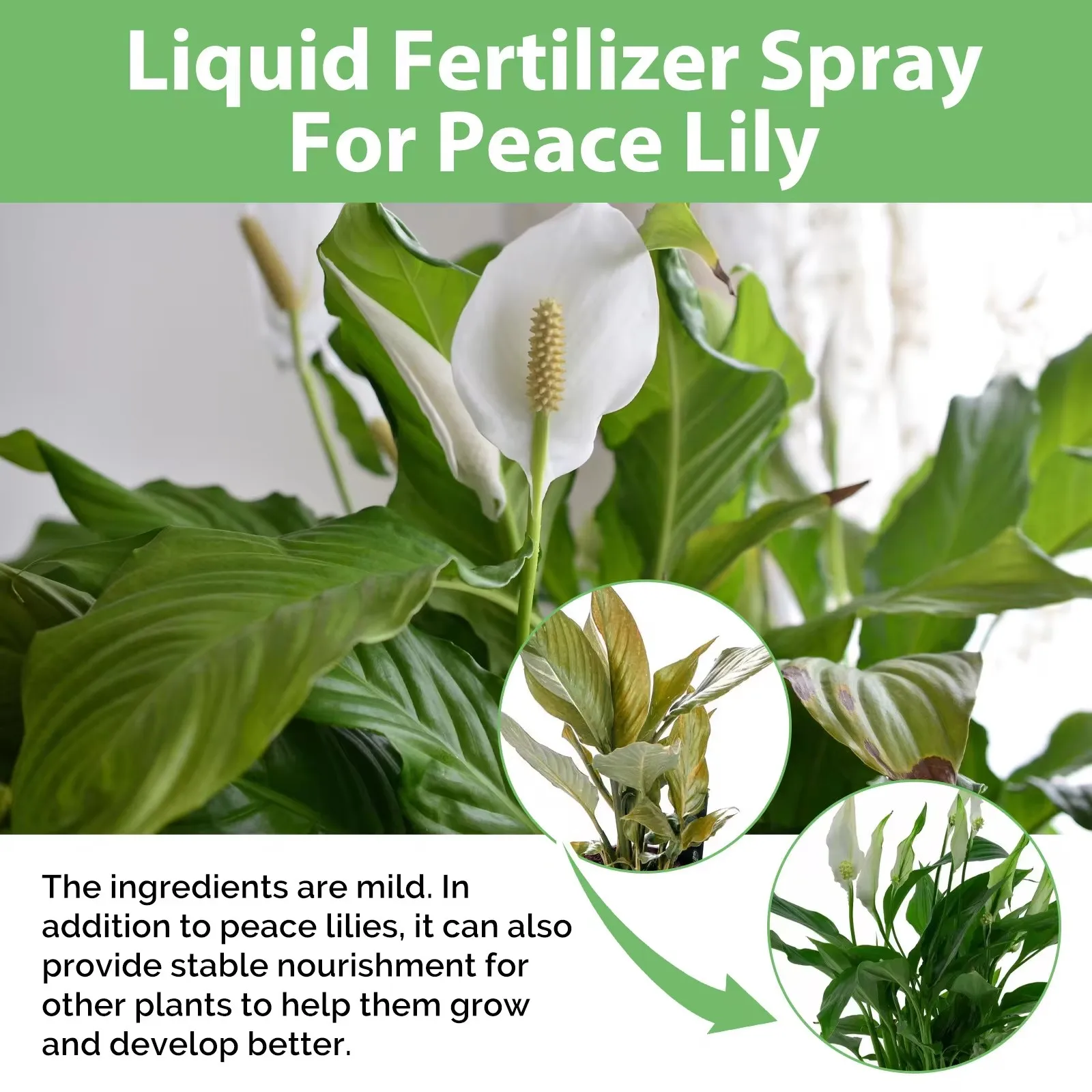 MoonSpry Flower Nutrient Solution Liquid Plant Fertilizer Rooting Booster Blossom Nutrition Hydroponics Food for Garden Plants thumbnail 4