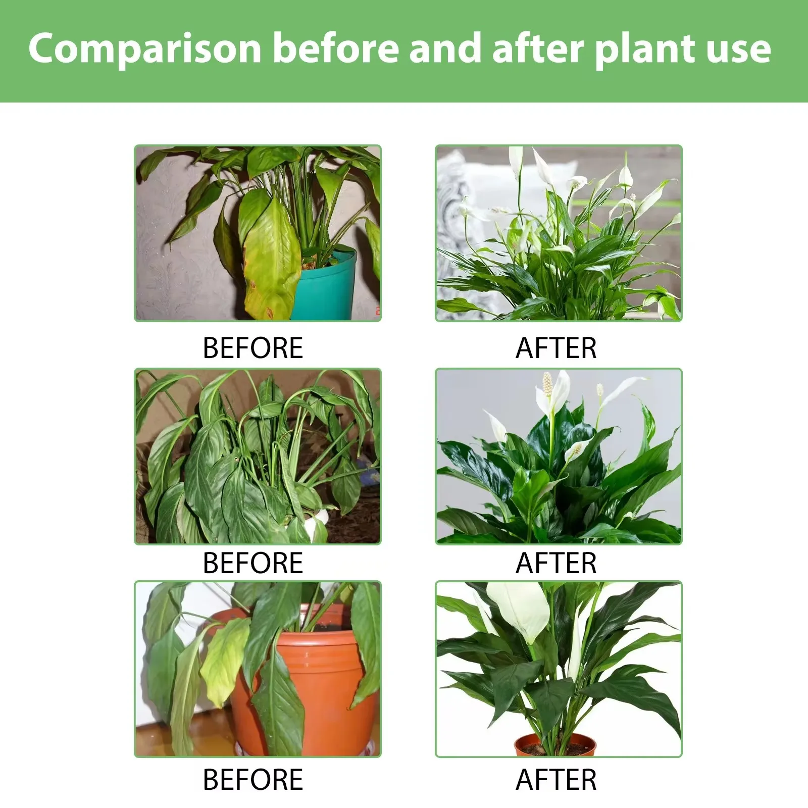 MoonSpry Flower Nutrient Solution Liquid Plant Fertilizer Rooting Booster Blossom Nutrition Hydroponics Food for Garden Plants thumbnail 3