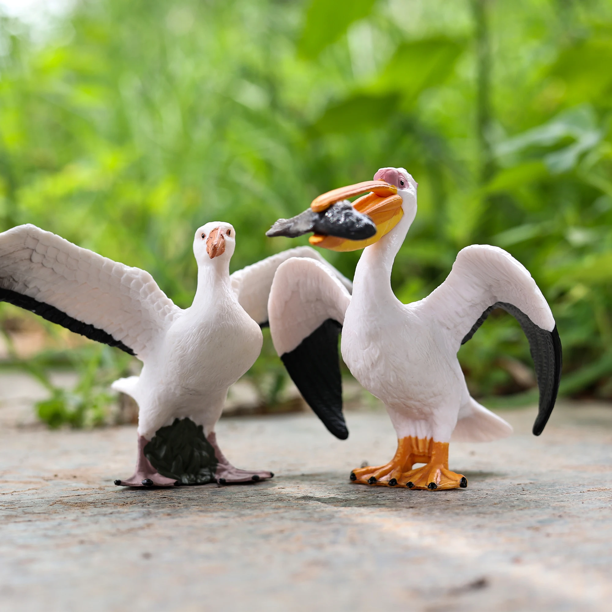 Classic Bird Animal Flamingos Parrot Sea Mew Peacock Owl Ostrich Model Solid PVC Action Figures Miniature Education Toy thumbnail 6