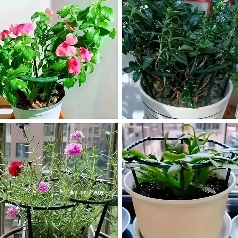 1-16 Plastic Plant Support Pile Stand Plant Support Pile for Flowers Greenhouses Arrangement Fixing Rod Holder Garden Tools thumbnail 3