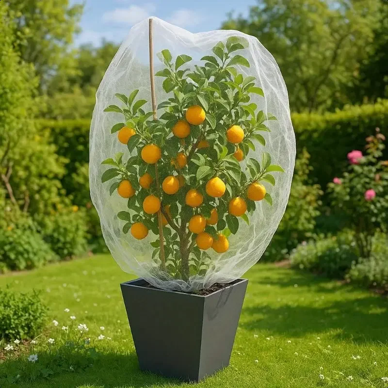Nylon Plant Protection Netting Mesh Bag Cover for Fruit Vegetable Tree Strawberry Grapes Pest Control Anti-Bird Gardening Tools