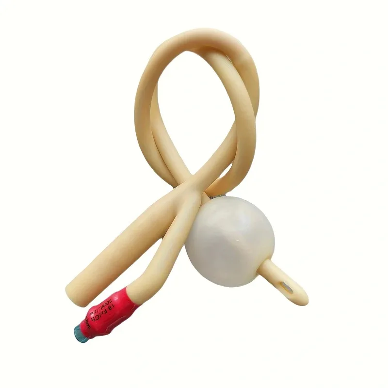10 pcs/box Urincatheter Medical Two-way Latex Foley Catheter Urine Catheter thumbnail 4