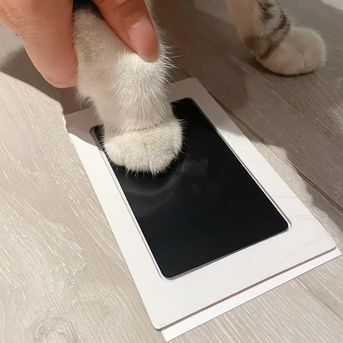 1 Set Baby Handprint Footprints Ink Pads Safe Non-toxic No-Touch Skin Inkless Inkpad Kits Pet Cat Dog Paw Prints Souvenirs Gifts thumbnail 5