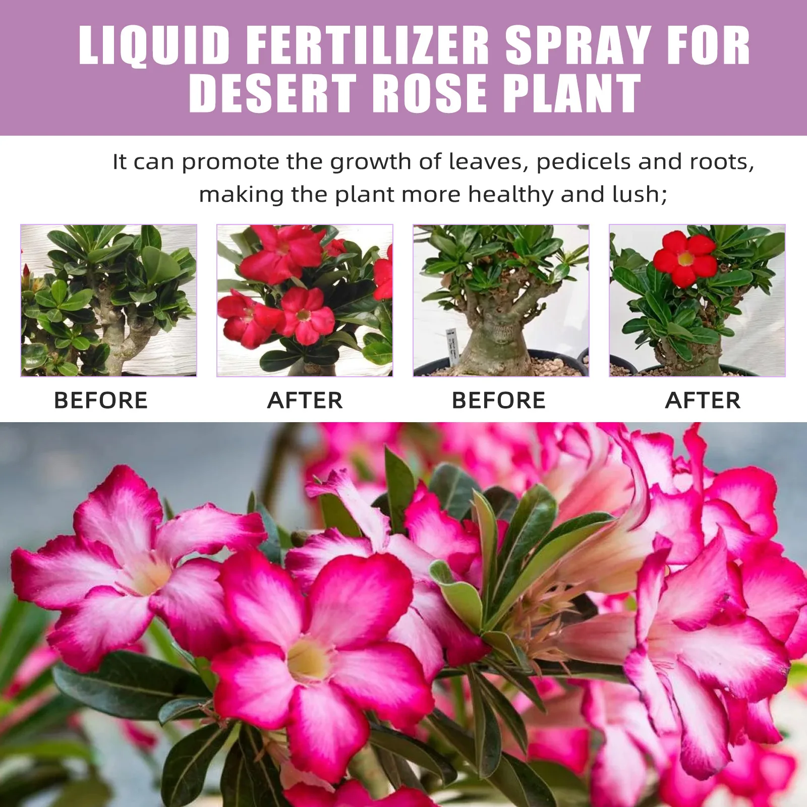 MoonSpy 100ml Fertilizer Spray Series for Flowers Plants & Trees - Plant Growth Nutrition Care Supplemental Fertilizer thumbnail 4
