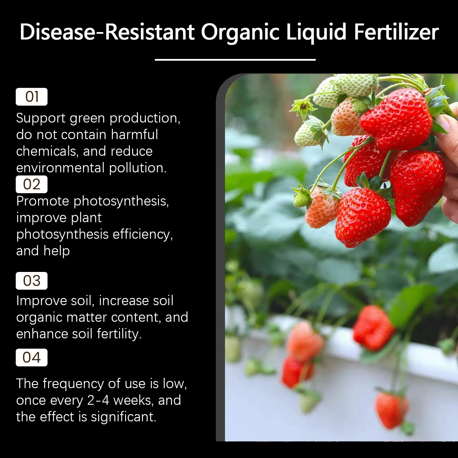 Vegetable Special Fertilizer Increase Fruit Vegetable Agricultural Supplement Organic Soil Booster Flower Potting Rooting Liquid thumbnail 3