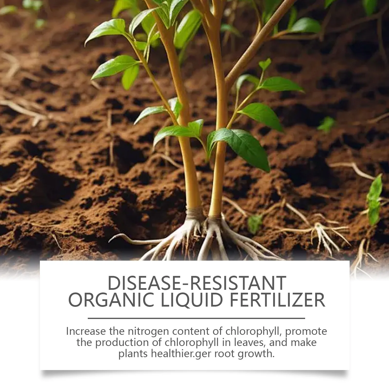 Vegetable Special Fertilizer Increase Fruit Vegetable Agricultural Supplement Organic Soil Booster Flower Potting Rooting Liquid thumbnail 5