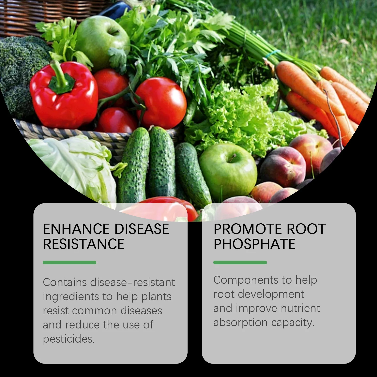 Vegetable Special Fertilizer Increase Fruit Vegetable Agricultural Supplement Organic Soil Booster Flower Potting Rooting Liquid thumbnail 2