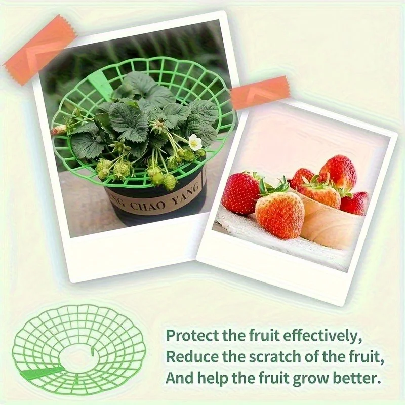 6/12pcs Green PVC Strawberry Support Cage for Vegetable Garden - 3-Legged Plant Protector, and Rot, Easy Assembly thumbnail 5
