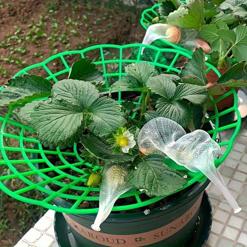 6/12pcs Green PVC Strawberry Support Cage for Vegetable Garden - 3-Legged Plant Protector, and Rot, Easy Assembly thumbnail 4