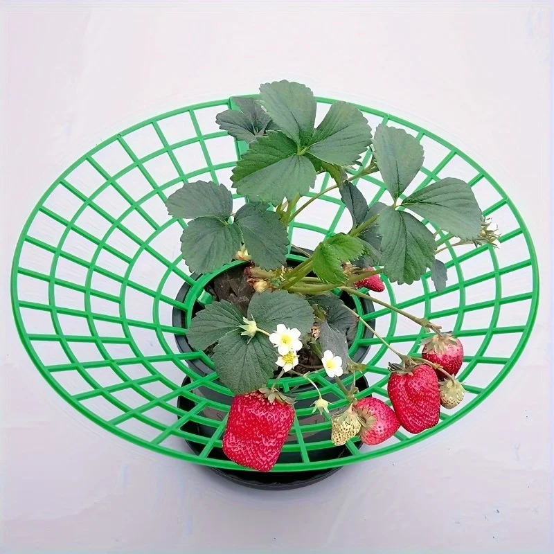 6/12pcs Green PVC Strawberry Support Cage for Vegetable Garden - 3-Legged Plant Protector, and Rot, Easy Assembly thumbnail 6