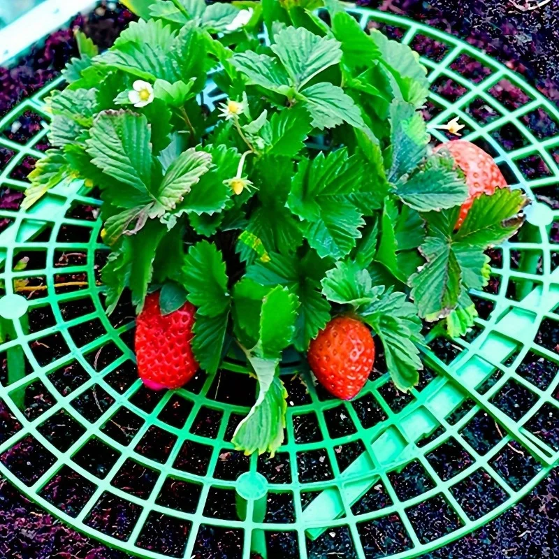 6/12pcs Green PVC Strawberry Support Cage for Vegetable Garden - 3-Legged Plant Protector, and Rot, Easy Assembly thumbnail 2