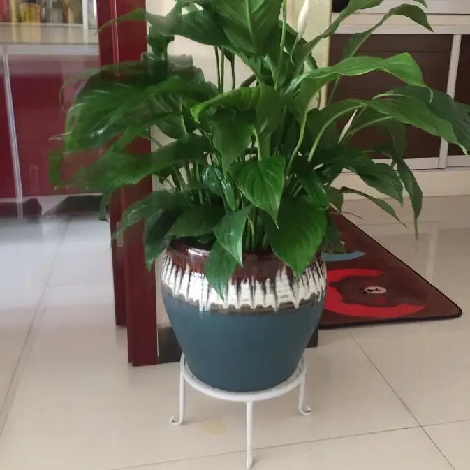 Iron Plant Stands with Saucer for Indoor and Outdoor Plants Flower Pot Planter Holder Flower Pot Stand thumbnail 5