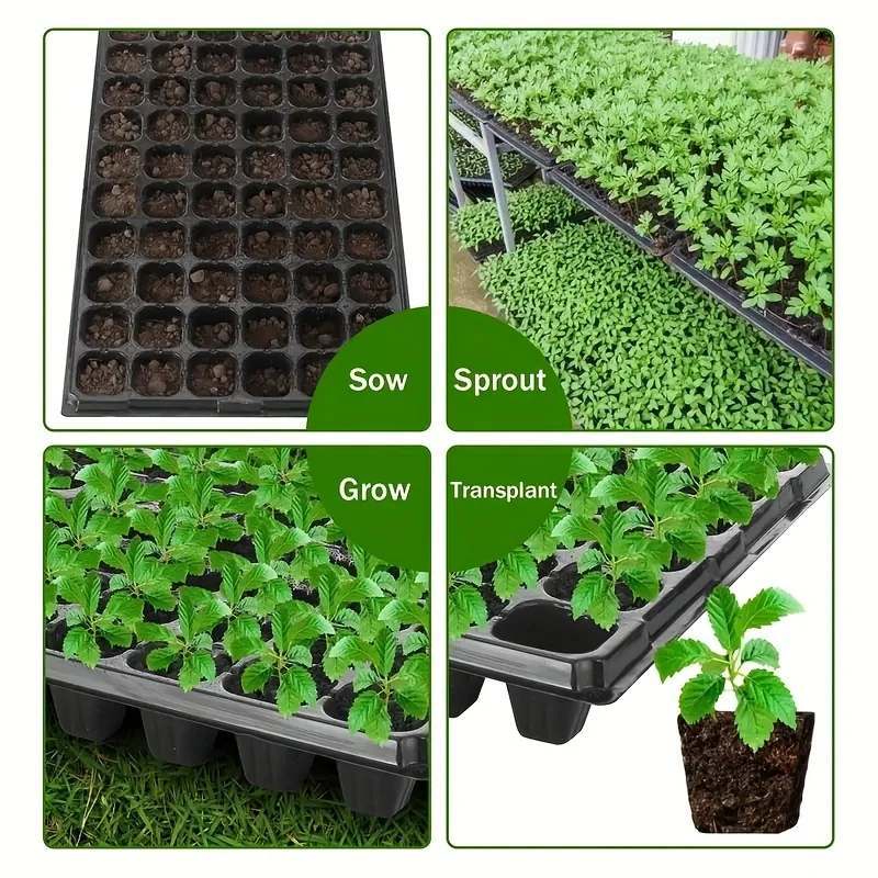 10-20nursery tray, greenhouse germination and growth tray, courtyard, lawn, gardening, planting nursery, agricultural plant thumbnail 4