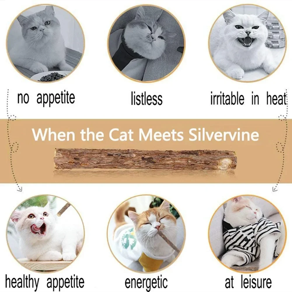 15pcs Natural Matatabi Cat Catnip Toy Kitten Molar Chew Stick Pet Cleaning Teeth Cat Treat Toy Actinidia Silvervine Pet Products thumbnail 5