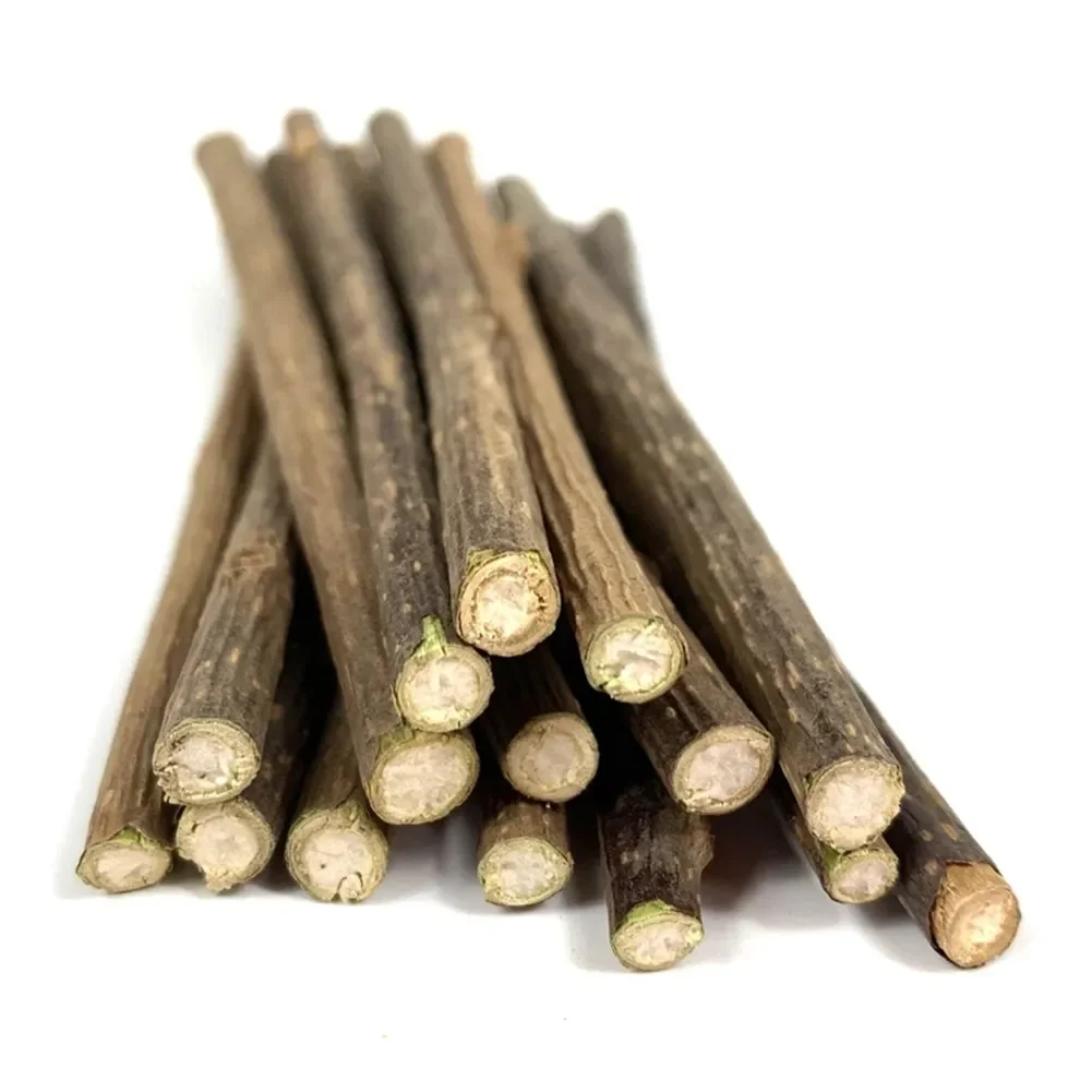 15pcs Natural Matatabi Cat Catnip Toy Kitten Molar Chew Stick Pet Cleaning Teeth Cat Treat Toy Actinidia Silvervine Pet Products thumbnail 4