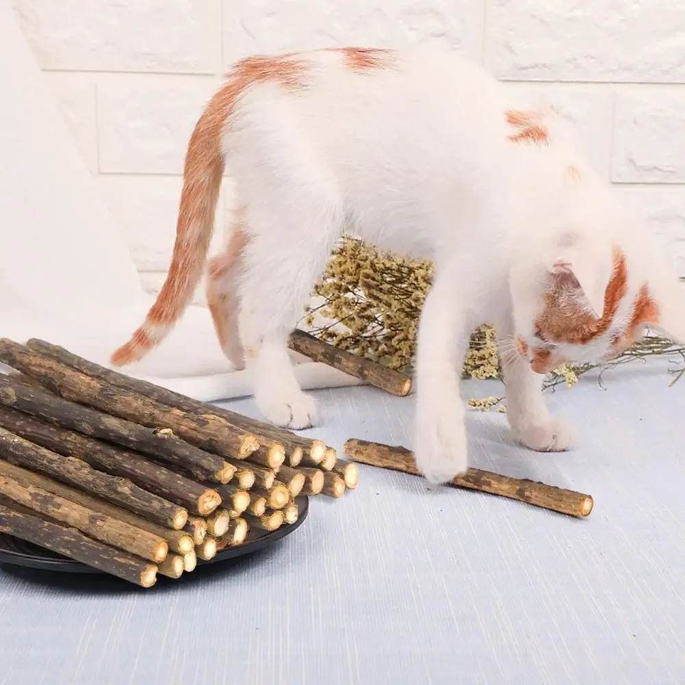 15pcs Natural Matatabi Cat Catnip Toy Kitten Molar Chew Stick Pet Cleaning Teeth Cat Treat Toy Actinidia Silvervine Pet Products thumbnail 3