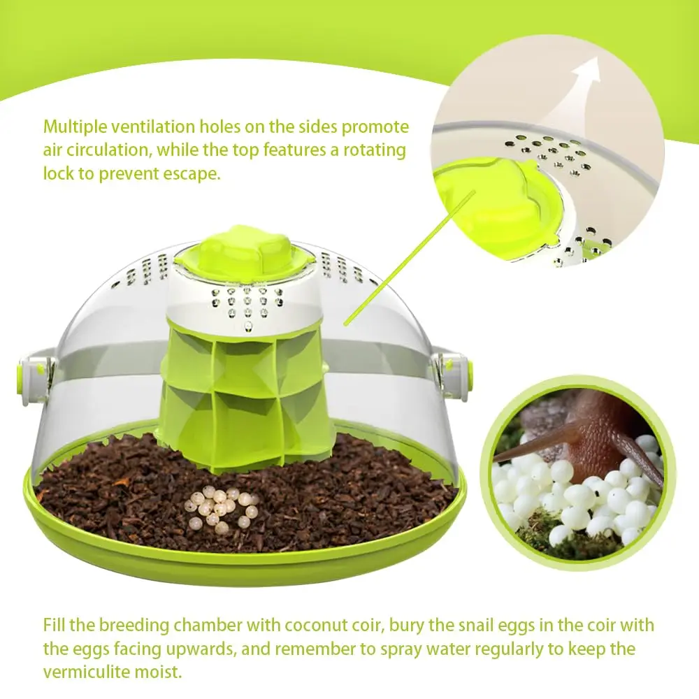 Snail & Insect Habitat Box - Clear Feeding Terrarium for Small Bugs, Eco Observation Container for Kids Science thumbnail 4