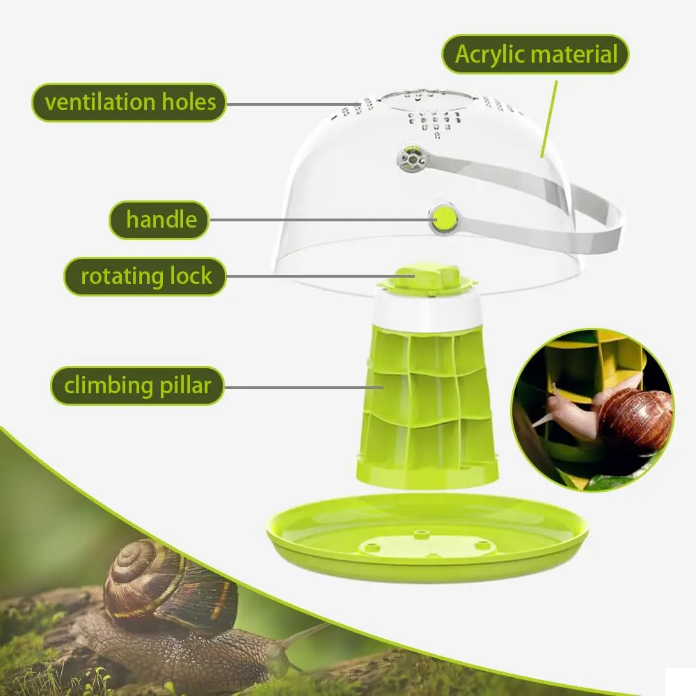 Snail & Insect Habitat Box - Clear Feeding Terrarium for Small Bugs, Eco Observation Container for Kids Science thumbnail 5