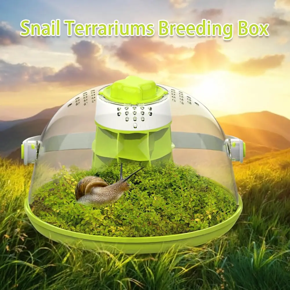 Snail & Insect Habitat Box - Clear Feeding Terrarium for Small Bugs, Eco Observation Container for Kids Science thumbnail 6