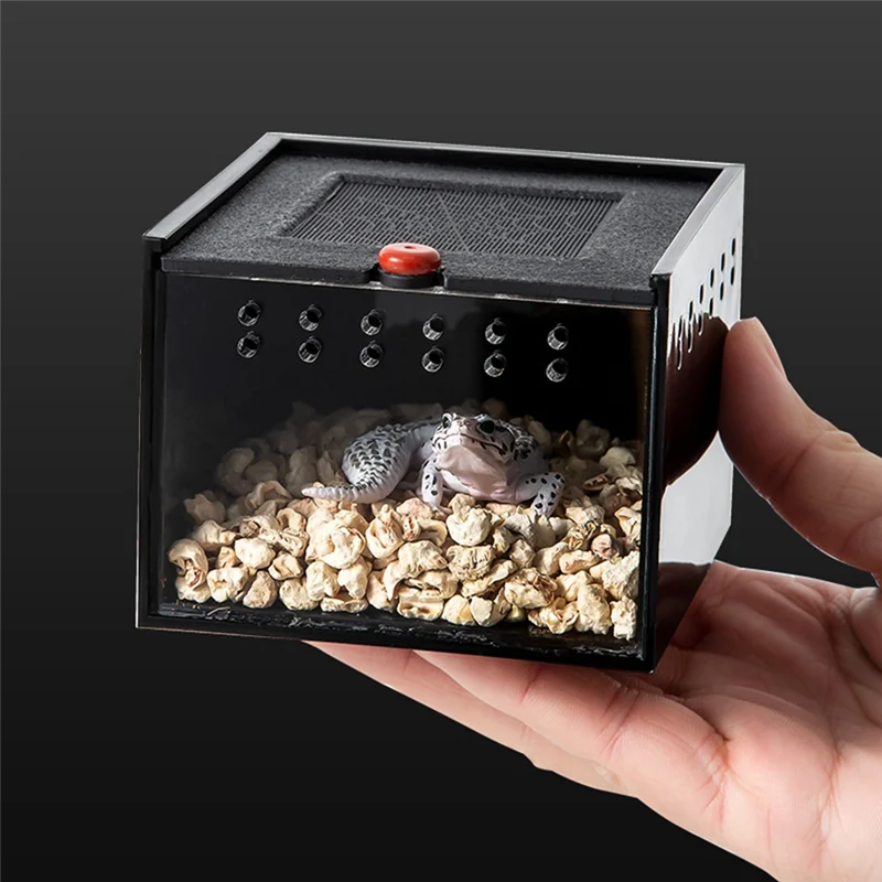 B62B-Spider Enclosure Small Insect Breeding Box Prevent Escape Reptile Terrarium Insect Feeding Cage thumbnail 3