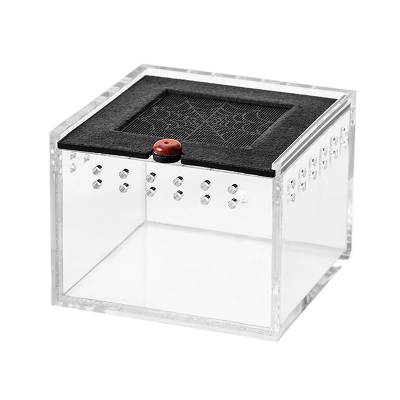 B62B-Spider Enclosure Small Insect Breeding Box Prevent Escape Reptile Terrarium Insect Feeding Cage thumbnail 2