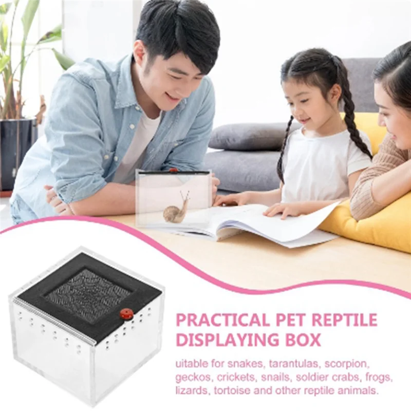 B62B-Spider Enclosure Small Insect Breeding Box Prevent Escape Reptile Terrarium Insect Feeding Cage thumbnail 6