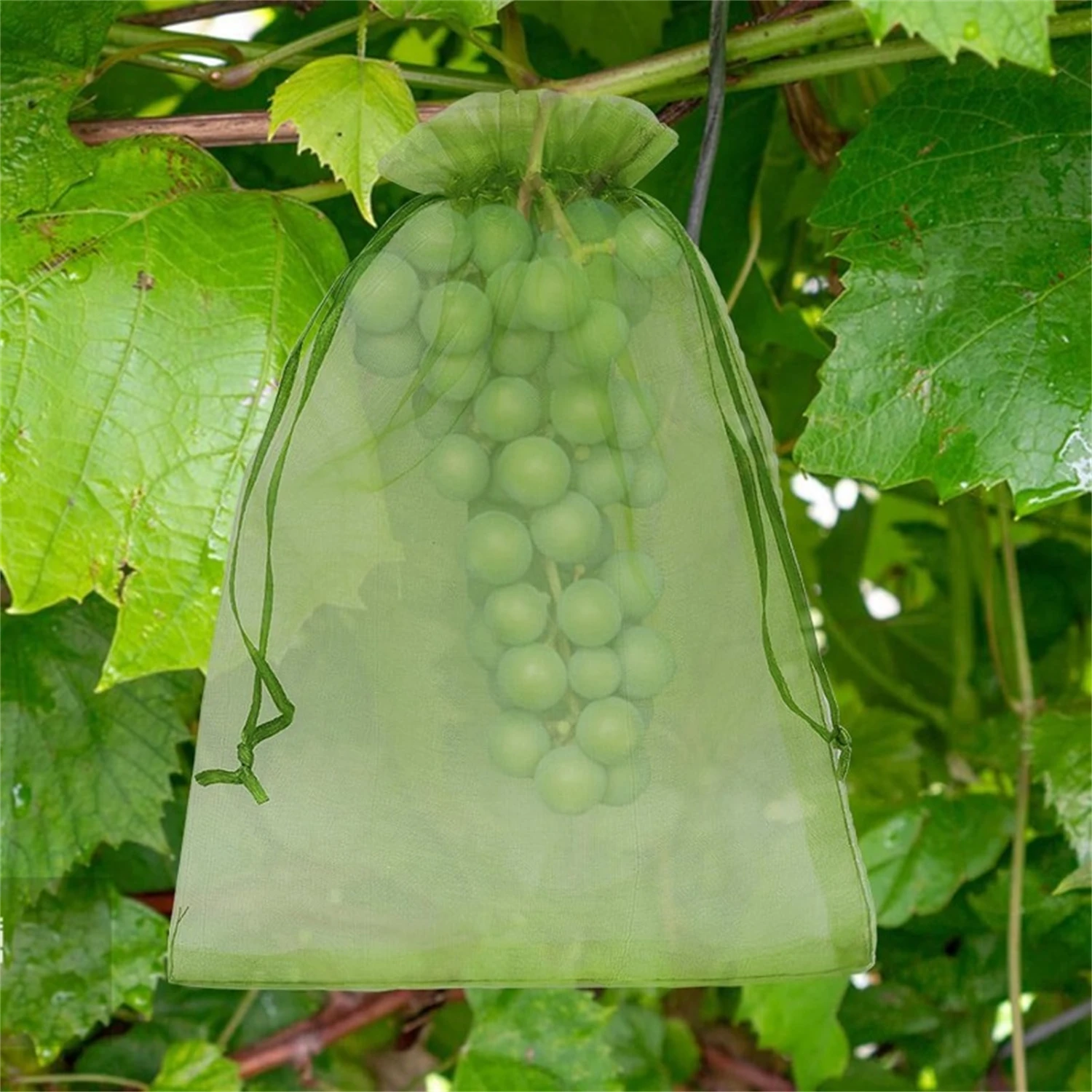 10-200Pcs Fruit Protection Netting Bags Plant Grow Bags Garden Anti-Bird Mesh Bag Vegetable Strawberry Grape Cover Garden Tools thumbnail 3