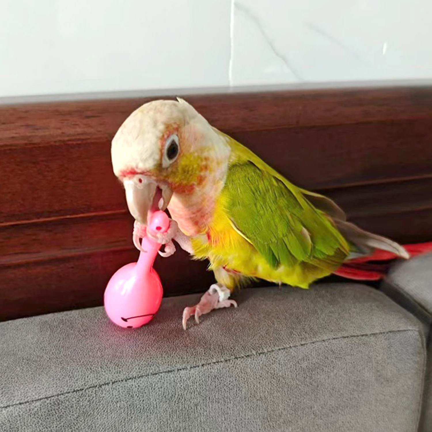 Cute Parrot Rattle Sand Hammer Sand Ball Bird Bites Wisdom Interactive Training Toys Pet Accessories Parrot Bird Rattle Toy 5Pcs thumbnail 4
