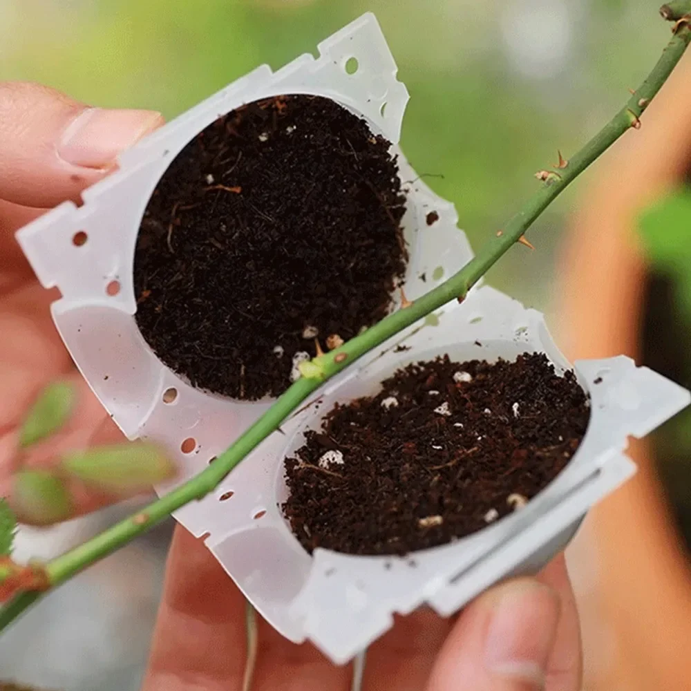 5/8/12cm Air Layering Pods Plant Rooting Ball High Pressure Propagation Root Grow Box Graft Breeding Case Planting Nursery Pot thumbnail 3