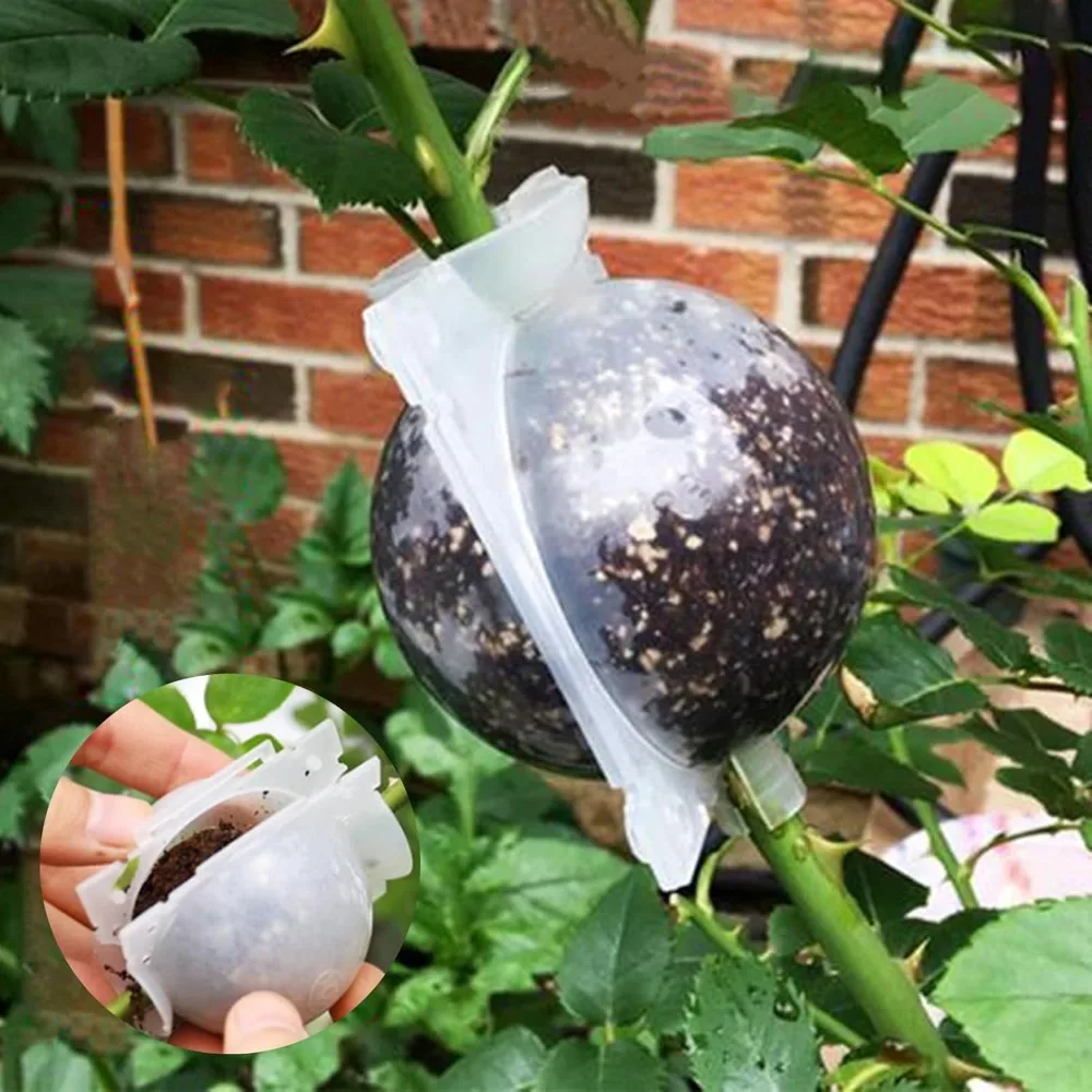 5/8/12cm Air Layering Pods Plant Rooting Ball High Pressure Propagation Root Grow Box Graft Breeding Case Planting Nursery Pot thumbnail 2