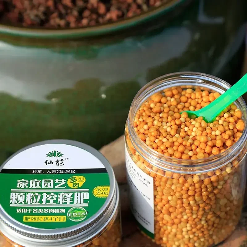 250g Plant Fertilizer, Slow Release Bonsai Plant Potting Succulent Compound Fertilizer General Vegetable Fertilizer thumbnail 2