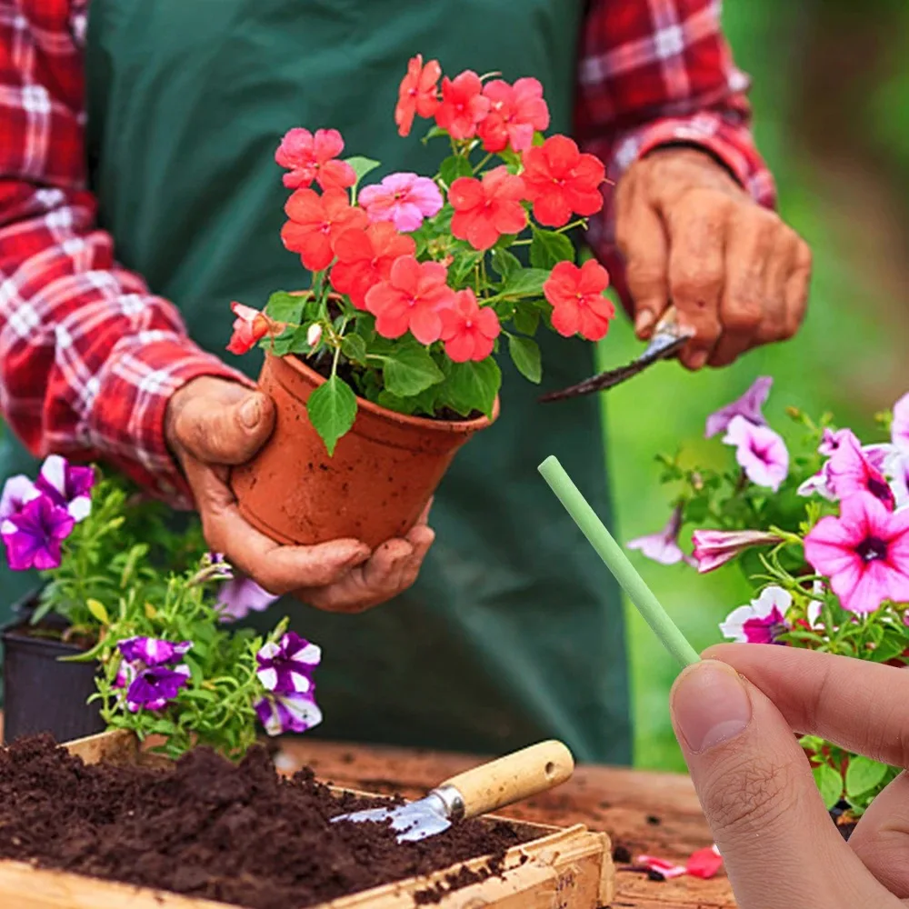 Plant Slow-release Sticks Nutrient Stick Universal Indoor Potted Flower Pot Plants Fertilizer Bars Enhancer Garden Accessories thumbnail 5
