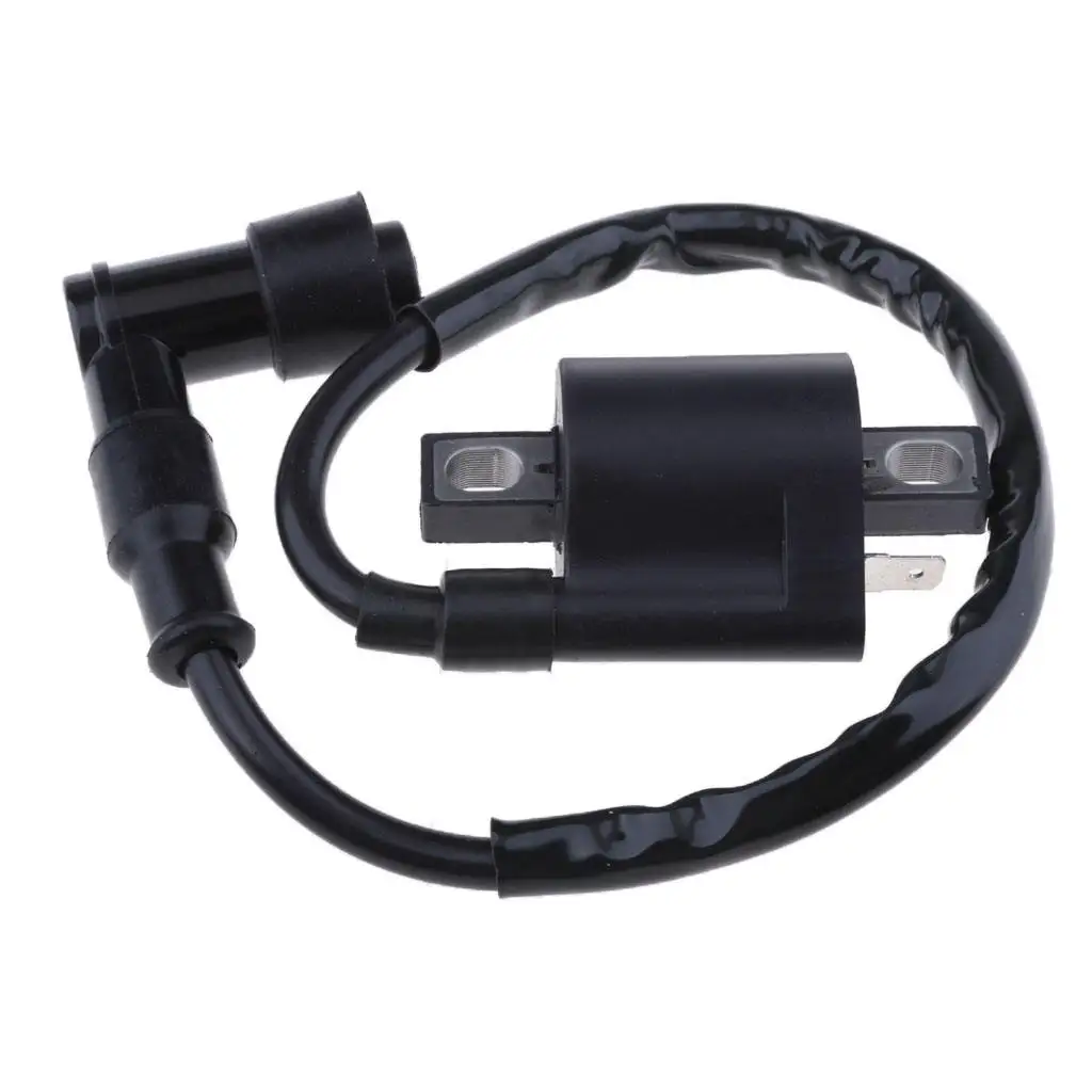 Motorcycle Ignition Coil Plug Assembly Cdi for for YAMAHA Pw50 Pw 50 All Year thumbnail 4