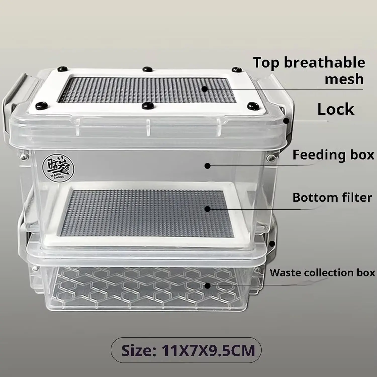 Reptile Feeding Box Transparentk Acrylic Reptile Feeder Food Storage for Lizards Chameleons Mealworms Crickets Dubia Cockroaches thumbnail 2