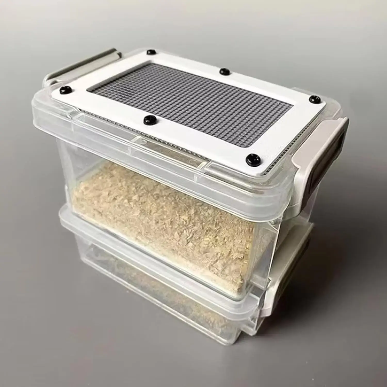 Reptile Feeding Box Transparentk Acrylic Reptile Feeder Food Storage for Lizards Chameleons Mealworms Crickets Dubia Cockroaches thumbnail 4