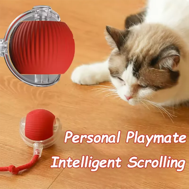 Hot Dog toys are automatically teasing cat balls and self-exciting cat sticks and ticks and resistant to wear and bite pet toys thumbnail 3