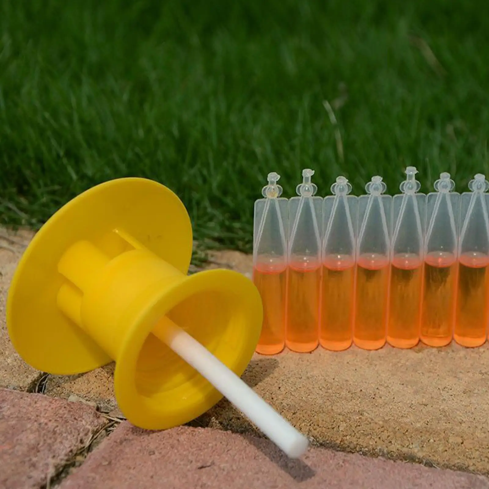 Fruit Fly Attractant Fruit Fly Trap Killer 2ml Drosophila Trap Fly Catcher Liquid For Home Farm Orchard 10 PCS Trapping Tools thumbnail 3