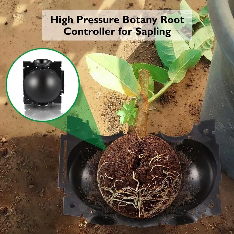5/30PCS Plant Rooting Ball Grafting Rooting Box Breeding Case High Pressure Plant Root Growing Box For Garden Planting Supplies thumbnail 4