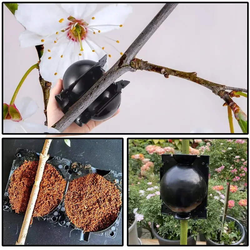 5/30PCS Plant Rooting Ball Grafting Rooting Box Breeding Case High Pressure Plant Root Growing Box For Garden Planting Supplies thumbnail 6