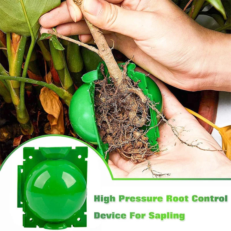 5/30PCS Plant Rooting Ball Grafting Rooting Box Breeding Case High Pressure Plant Root Growing Box For Garden Planting Supplies thumbnail 3