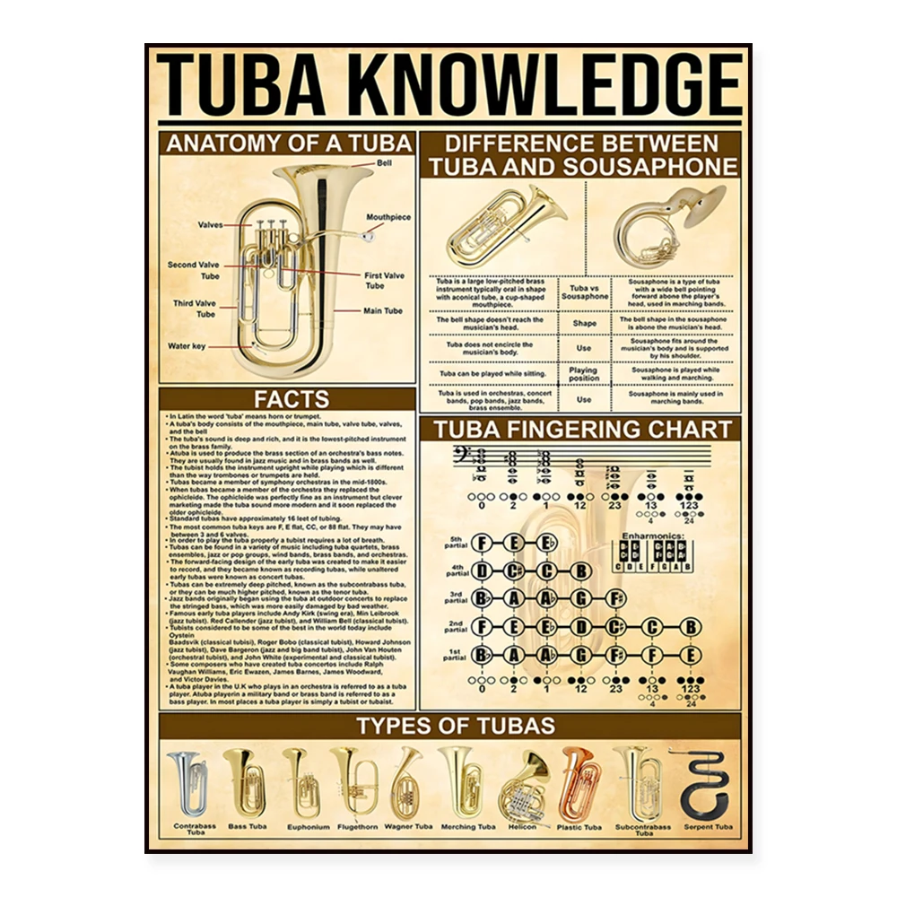 Trumpet and tuba information poster, musical instruments, trumpet and sound, tuba fingering chart, anatomy diagram, music gift thumbnail 3