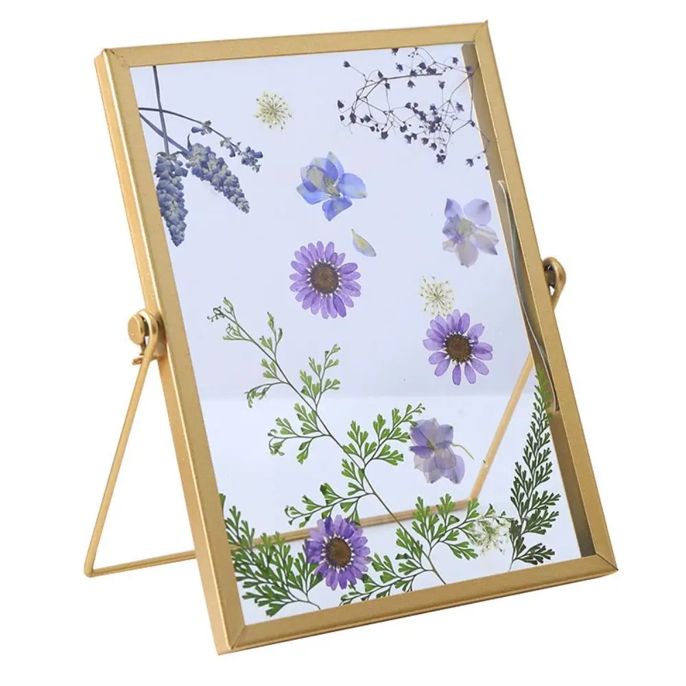 Multi-purpose 4/6/7/8/10 Inch Metal Photo Frame Acrylic Screen Gold Black Picture Holder Rectangle Picture Frame Plant Specimen thumbnail 2