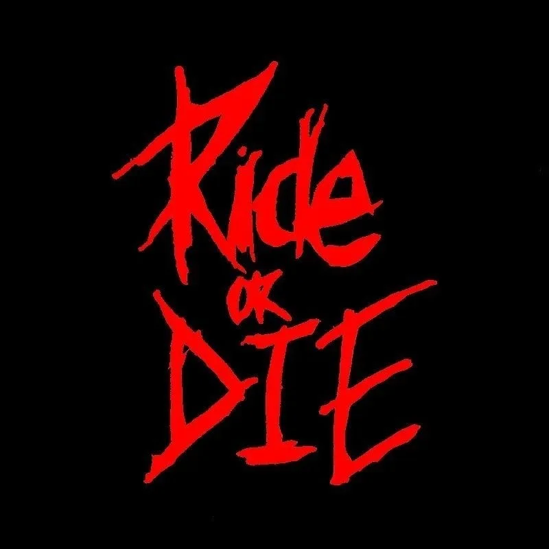 1PC Ride or Die Bike Frame Stickers Bicycle Top Tube Waterproof Vinyl Decals for MTB Bicycle Decorative Motorcycle Accessories thumbnail 6